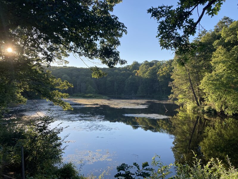 Near the start of the trail.