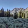 A small meadow full of lupine, on the east shore of Upper Green River Lake (right), on a perfect early August morning.