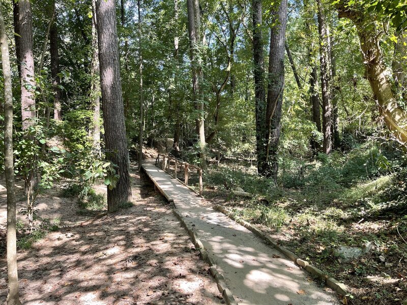 Woodland Loop Trail (looking north)