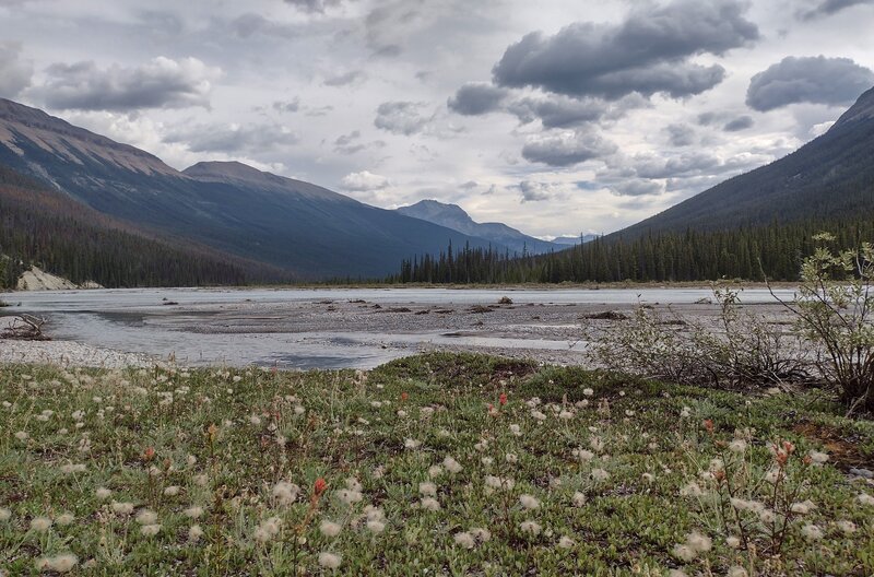 The beautiful Alexandra River valley, looking downstream/northeast. River flats are adorned with wildflowers and surrounded by rugged peaks.