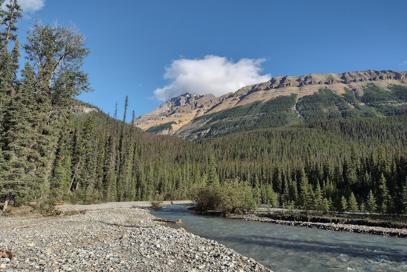 Terrace Creek and Mount Saskatchewan, 10,965 ft., seen looking north where Terrace Creek empties into the Alexandra River.