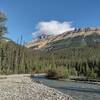 Terrace Creek and Mount Saskatchewan, 10,965 ft., seen looking north where Terrace Creek empties into the Alexandra River.