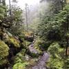 Misty day through the Mahoosuc Notch.