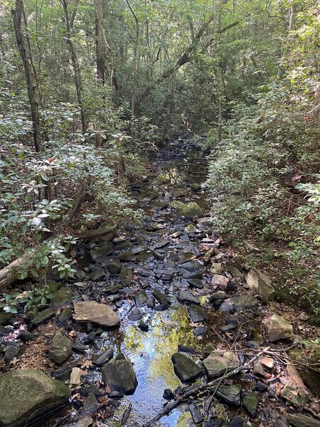 Small creek on trail