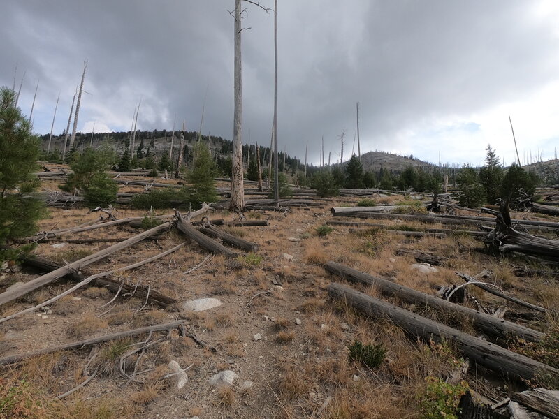 Approaching Elkhorn Trail at Cracker Saddle (9-14-2022)