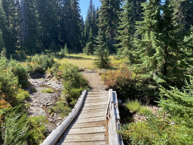 Tricky start of Cougar Lake Trail just past this bridge on American Ridge Trail. This is looking West.
