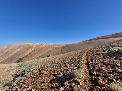 The Jord goat trails