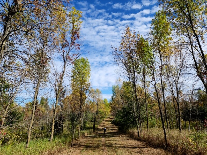 On the hiker/equestrian trail on the SE side of the loop.