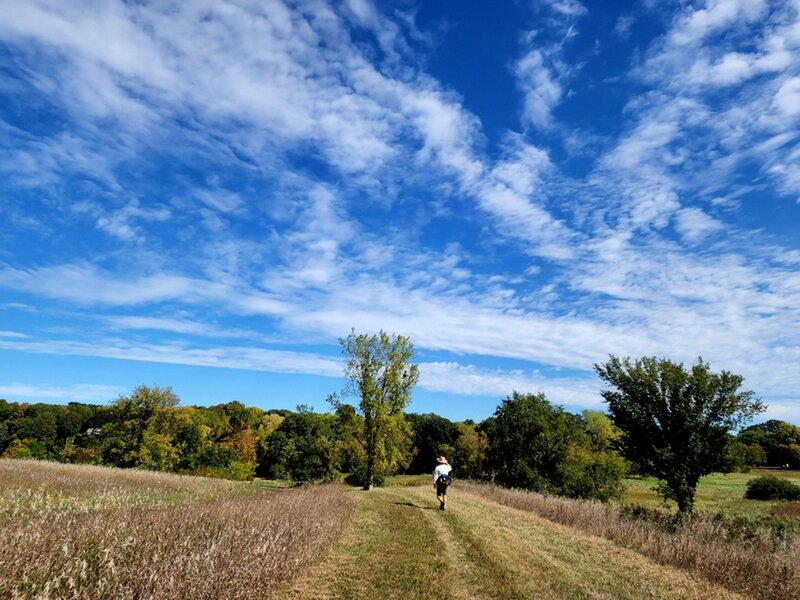 On the edge of the prairie on the east side of the loop.