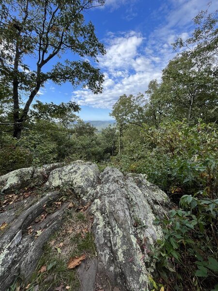 Summit of Coosa Bald, on the Duncan Ridge Trail.