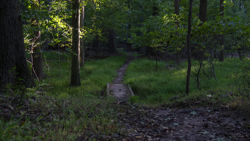 Wooden Bridge