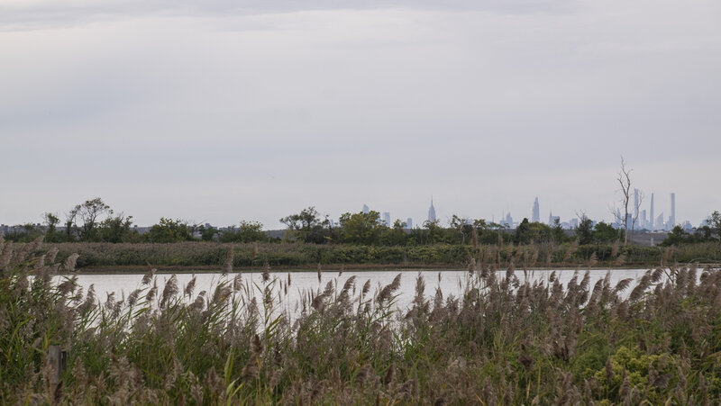 West Pond with NYC Skyline in the background