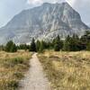 Apikuni Falls trailhead