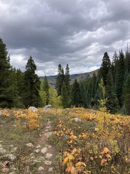 Looking north across the valley towards Vail on the way down the trail.