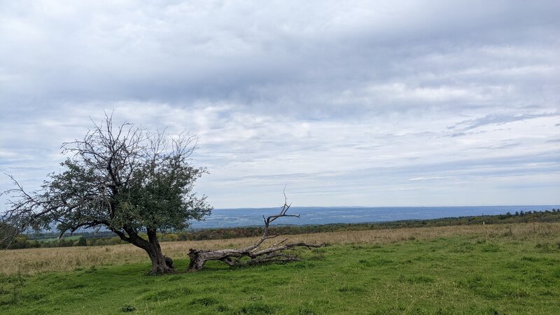 Looking West from the trail, towards Seneca Lake, in a clearing - you can see the whole valley.