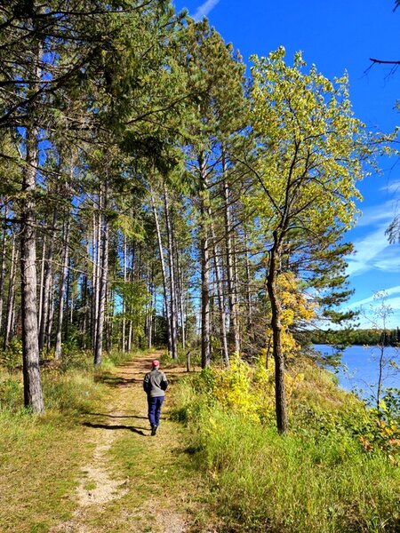 On the Pine Ridge Trail along the shore of Hayes Lake.