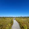 On the Big Bog boardwalk