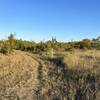 Trail 3, at its southern intersection with Trail 1. Much of the trail is in similar prairie land.