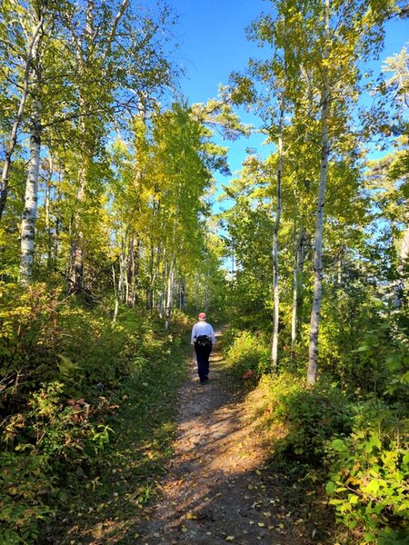 Starting out on the Chase Point Trail.