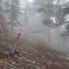 The beginning of the Dawson Peak trail as it splits from the Devil's Backbone.