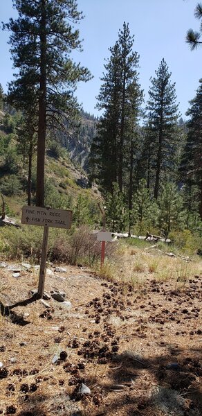 The beginning of the Fish Fork Trail, just before Lupine Campground.