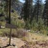 The beginning of the Fish Fork Trail, just before Lupine Campground.