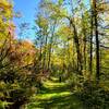 On a section of the Old Savanna Portage Trail