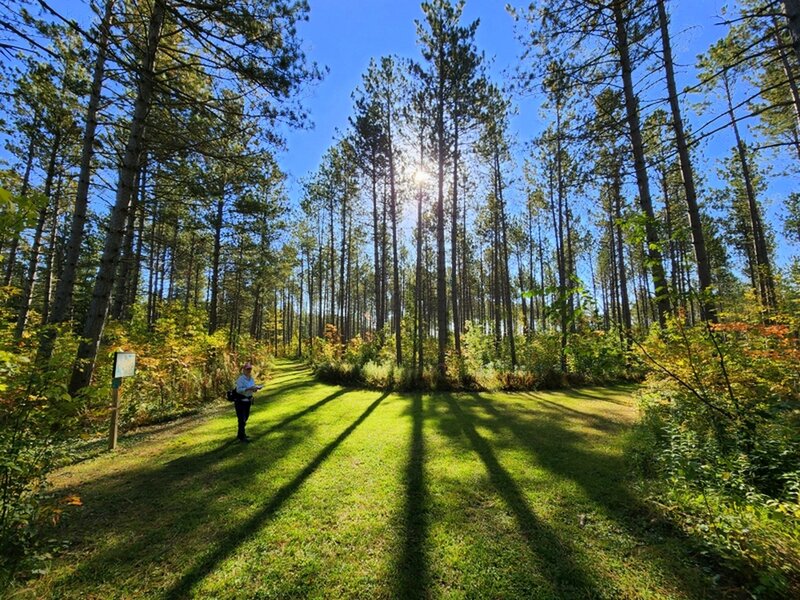 At the junction with the trail to Lake Shumway