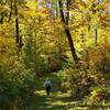 A Fall day on the Old Schoolhouse Trail