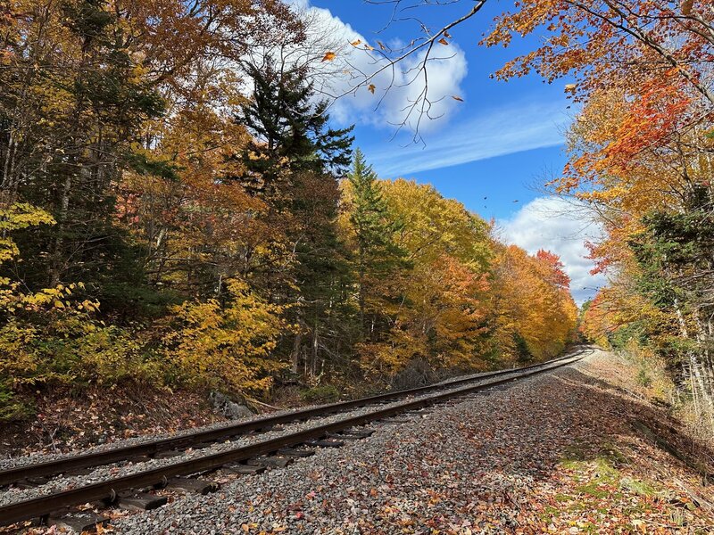 Crossing the railroad tracks. Oct. 9, 2022