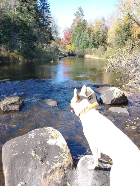 Goodnow River