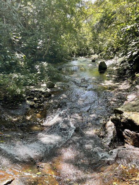 Above the waterfall