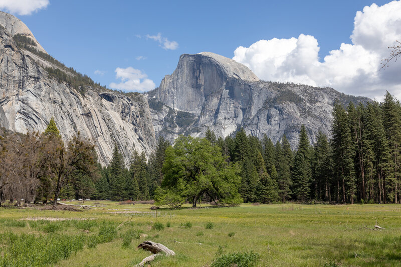 Half Dome across from Cook's Meadow