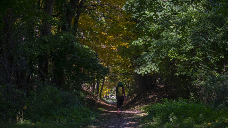 Trail south of Tarrytown