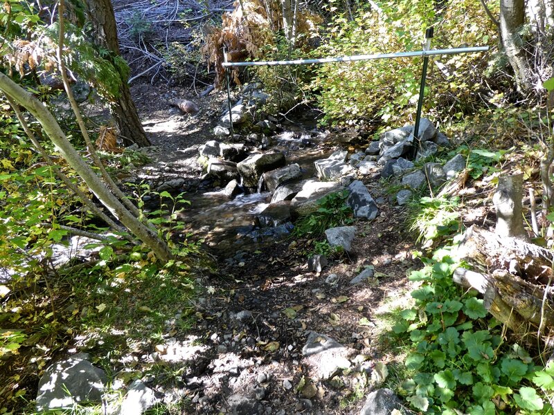 Schoolhouse Canyon water source:  6,037' elevation. Coords: N39° 00.646' W119° 51.628'