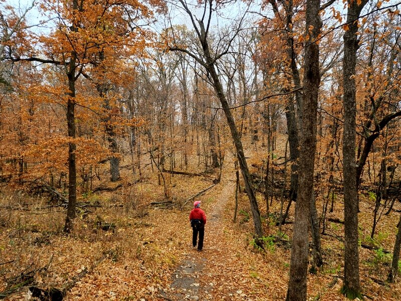 The Mount Tom Trail is late fall.