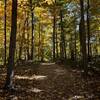 Fall at Glen Helen