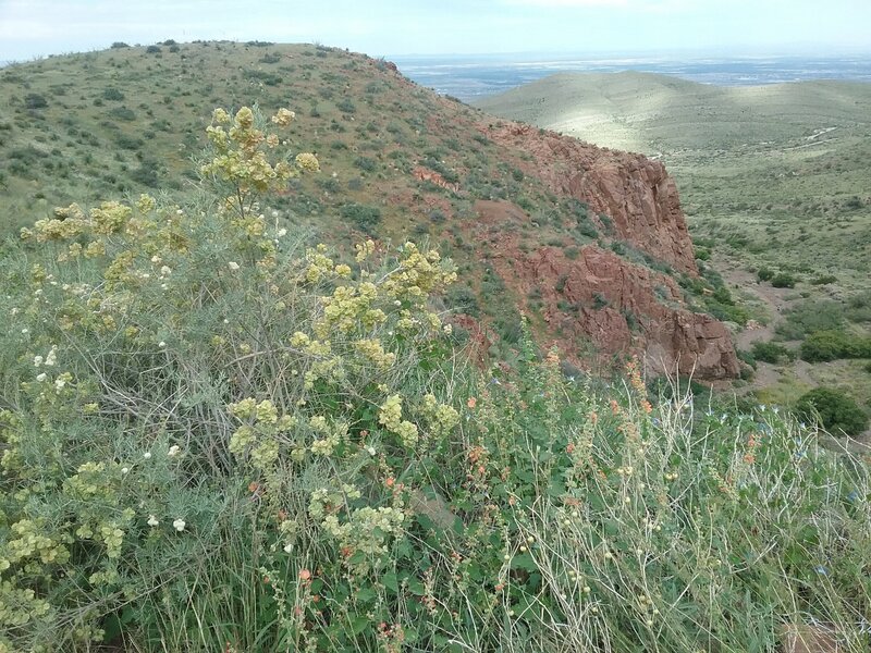 View of West Cottonwood Trail