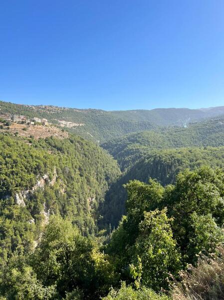 Looking up at the valley.