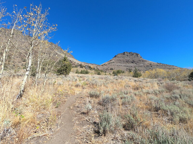 Junction with Little Blitzen Gorge trail (10-19-2022).