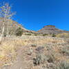 Junction with Little Blitzen Gorge trail (10-19-2022).