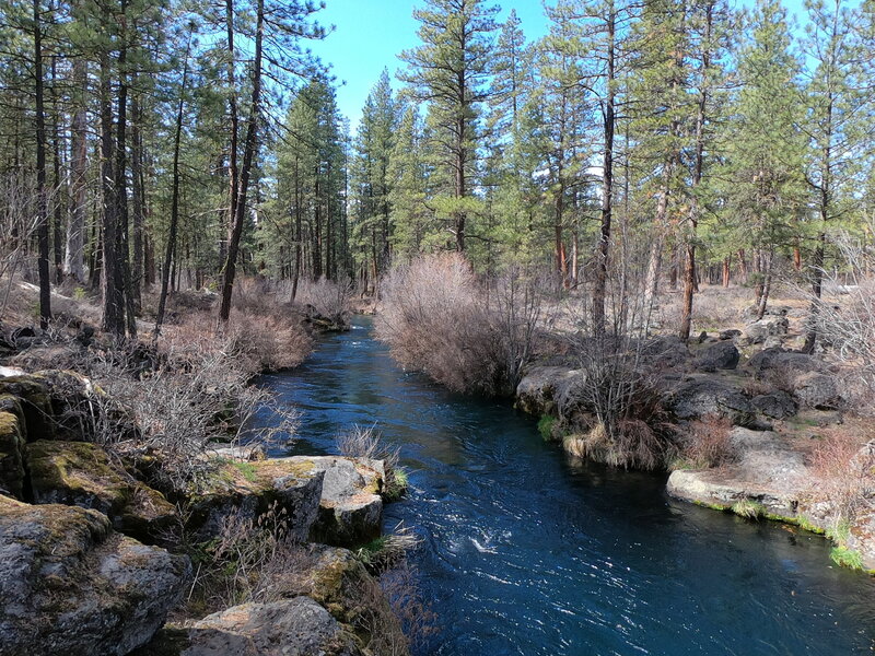 Metolius River gorge (3-29-2022)