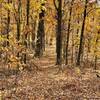 Sweet singletrack along Little Rocky Row Trail