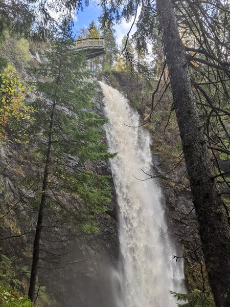 Plodda Falls thunders down a 46-meter drop.