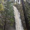 Plodda Falls thunders down a 46-meter drop.