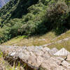 The upper section of the Llama Terraces.