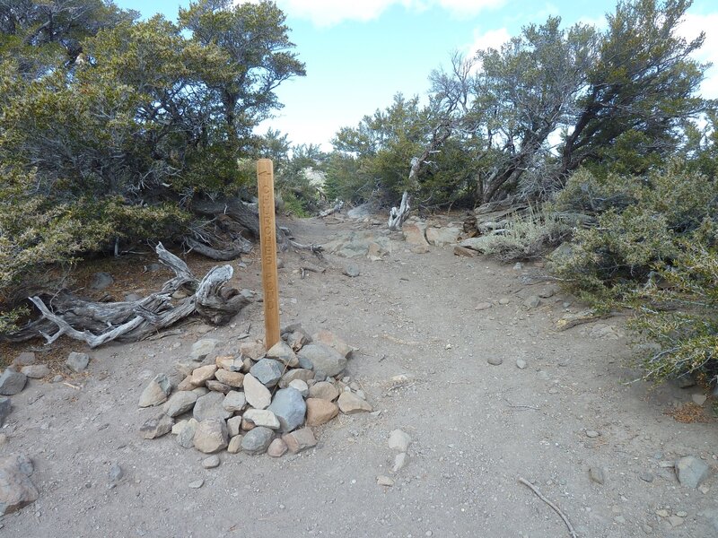 Trl jct sign - Continue straight ahead to stay on Jones Whites Creek Loop. Continue past the sign to Church's Pond