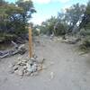 Trl jct sign - Continue straight ahead to stay on Jones Whites Creek Loop. Continue past the sign to Church's Pond