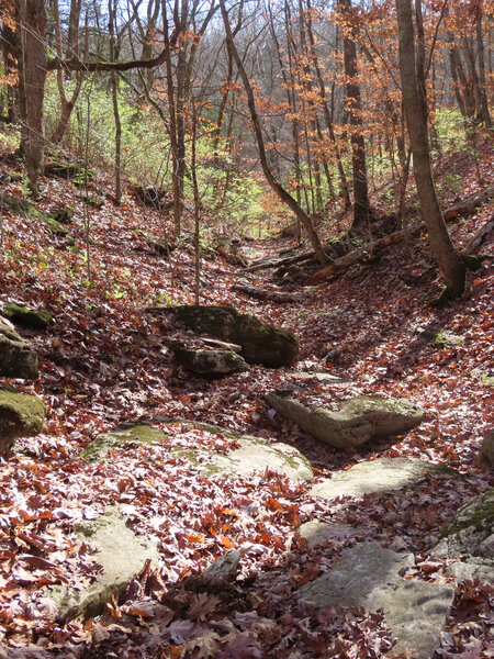 The trail seems to abruptly end at this drainage. Just follow it downstream and it will meet up with a better marked portion.