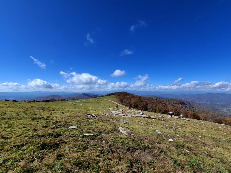 Looking west from the top of Bearwallow Mountain.